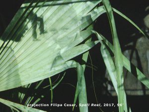 Spell Reel Un film collectif assemblé par Filipa César